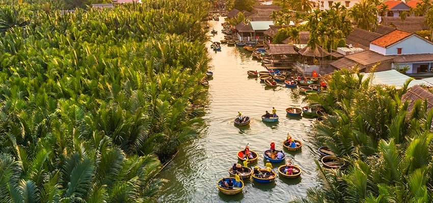 hoi an coconut forest 01